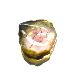 2.68ct Pastèque Tourmaline Tranche