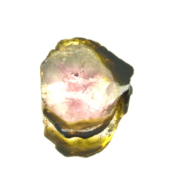 2.68ct Turmalina Sandía Corte en Lasca 13,25x11,72mm