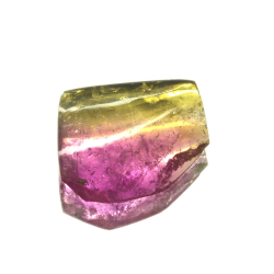 4.39ct Watermelon Tourmaline Slice Cut