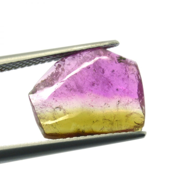 4.39ct Watermelon Tourmaline Slice Cut