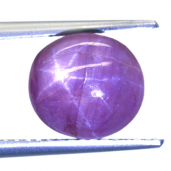 6.57ct Rubis Étoilé Cabochon Ovale