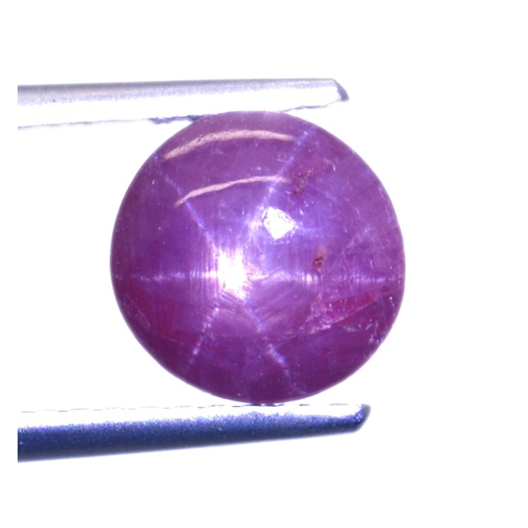 2.64ct Star Ruby Round Cabochon