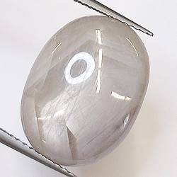 14.46ct Stern-Saphir Oval Cabochon