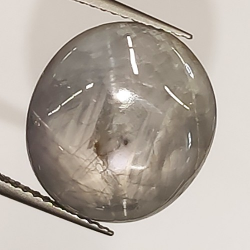 14.73ct Saphir Étoilé Cabochon Ovale