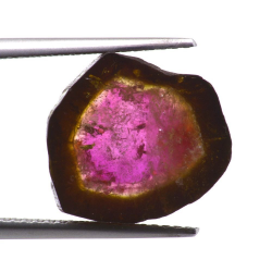 8,17 ct. Wassermelonen-Turmalin-Scheibenschliff 13,07 x 12,91 mm