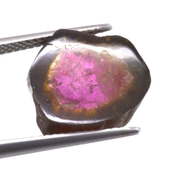 8.17ct.Tourmaline Pastèque Tranche Coupée 13.07x12.91mm