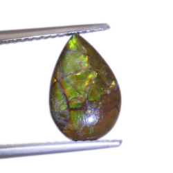 1,64ct.Ammolite Cabochon Pear Cut