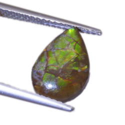 1,64ct.Ammolite Cabochon Pear Cut