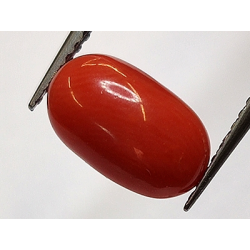 2.32ct Corail Rouge Cabochon Ovale