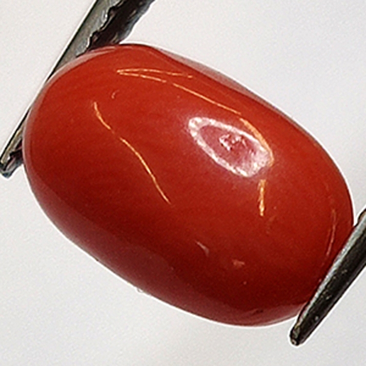 2.32ct Rote Koralle Oval Cabochon