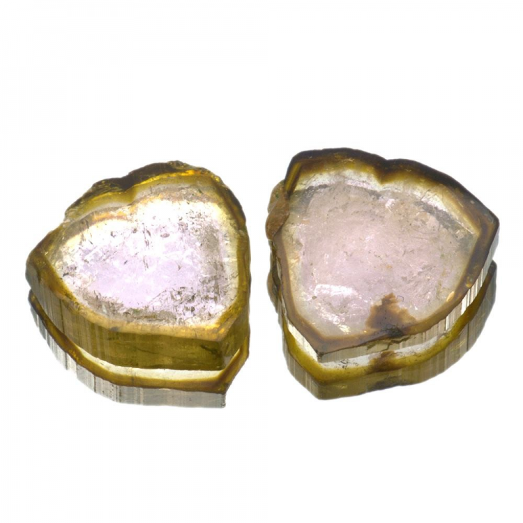 Tranche de tourmaline pastèque 13,95 ct taille 14,69 x 14,52 mm