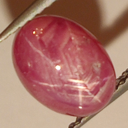 3,35ct Rubis Étoile cabochon ovale 8,7x6,5mm