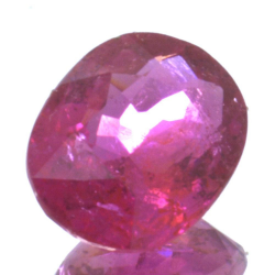 Tourmaline ovale de 1,27 ct, taille 7,98 x 6,11 mm