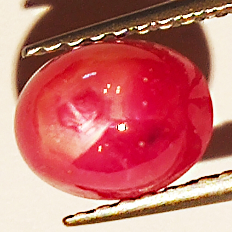 2.07ct Rubis Étoilé cabochon ovale 7.1x5.8mm