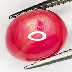 3.20ct Rubis Étoilé cabochon ovale 8.2x6.5mm