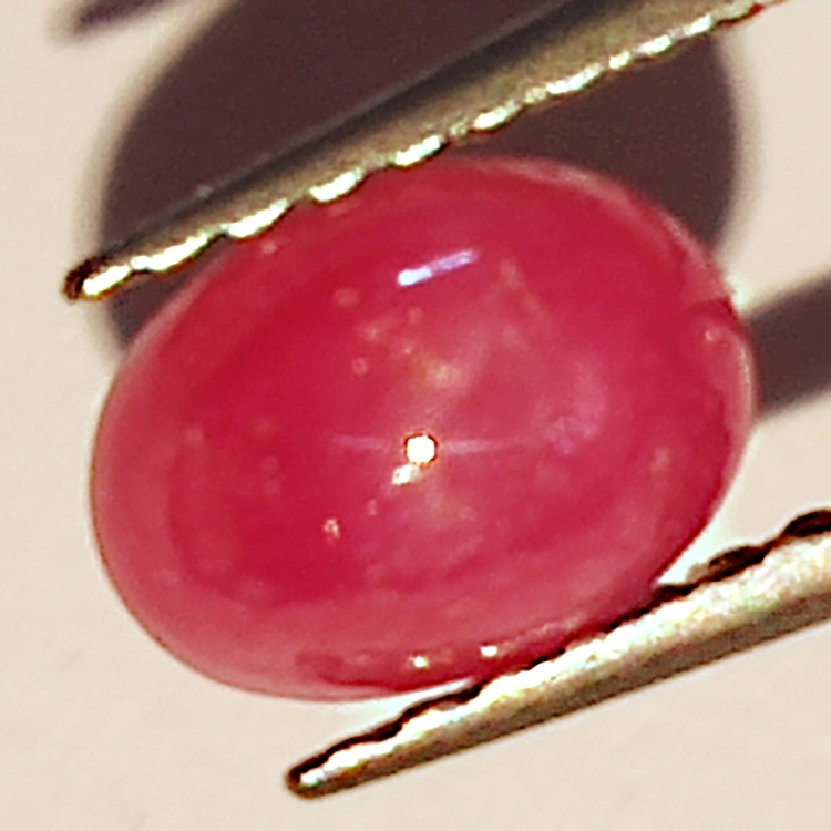 1.28ct Rubis Étoilé cabochon ovale 6.6x4.9mm