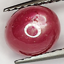 2.49ct Rubis Étoilé cabochon ovale 6.9x6.0mm