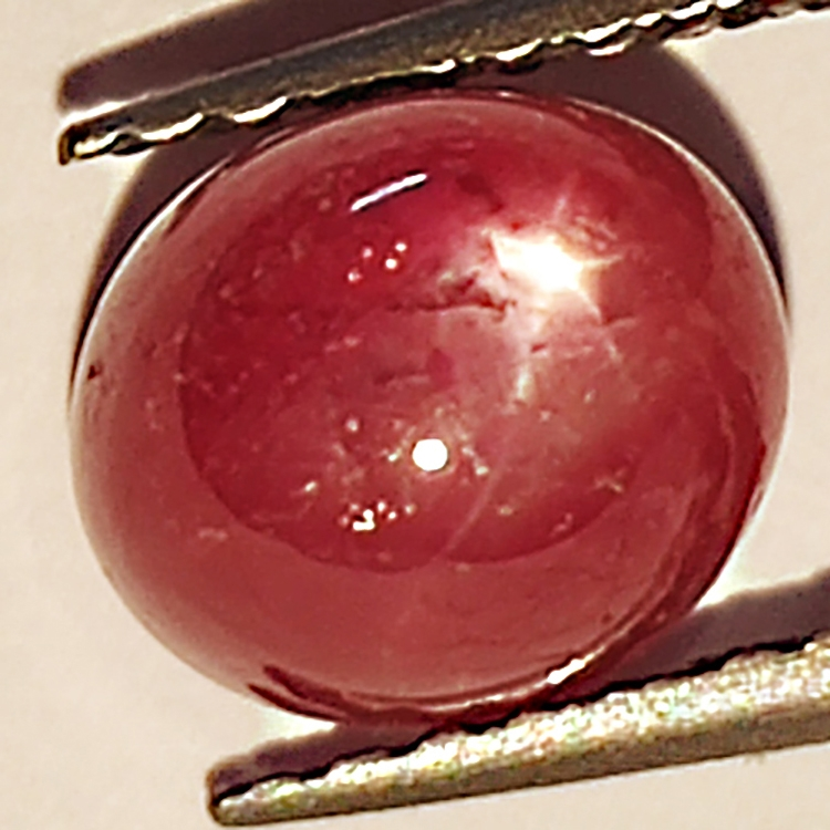 2.49ct Ruby Star cabochon oval 6.9x6.0mm