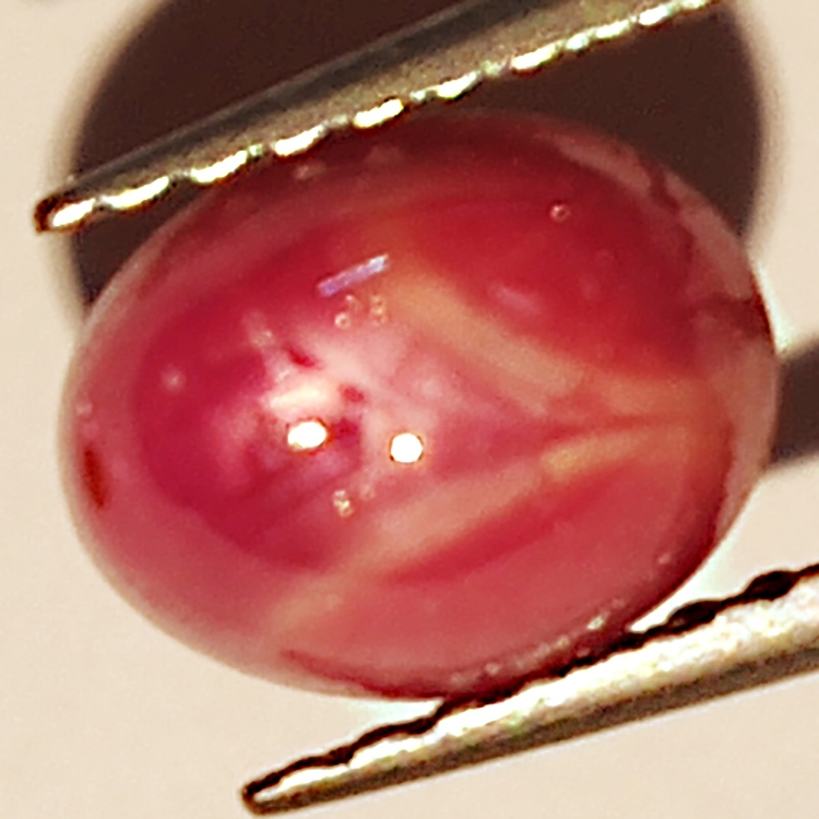 2.39ct Rubino Stella cabochon ovale 7.2x5.7mm