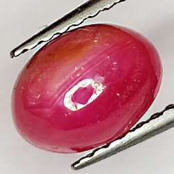 2.20ct Rubis Étoilé cabochon ovale 7.8x5.7mm