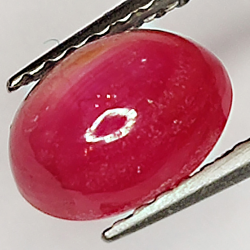 2.20ct Rubis Étoilé cabochon ovale 7.8x5.7mm