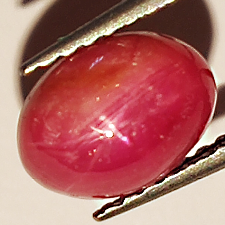 2.20ct Rubis Étoilé cabochon ovale 7.8x5.7mm