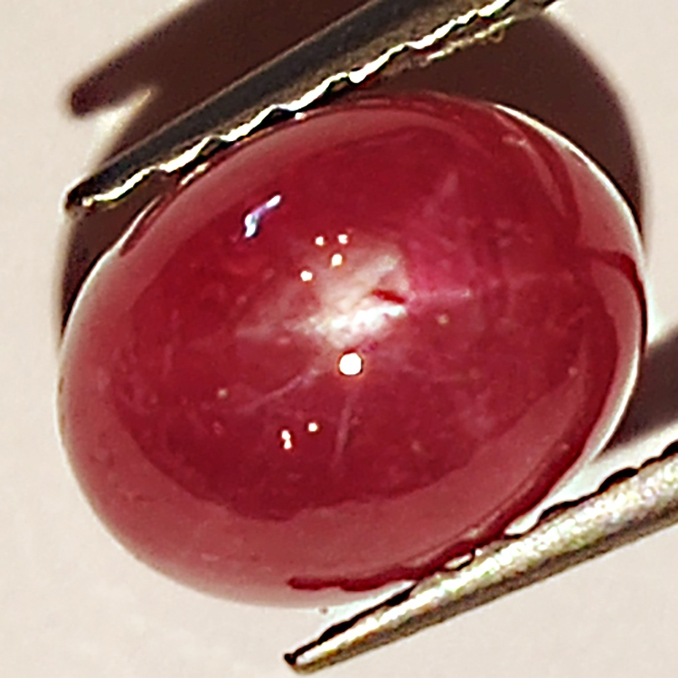 2.54ct Rubis Étoilé cabochon ovale 7.4x5.7mm