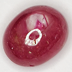 2.86ct Rubis Étoilé cabochon ovale 8.1x6.4mm