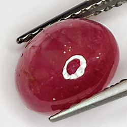 2.86ct Rubis Étoilé cabochon ovale 8.1x6.4mm