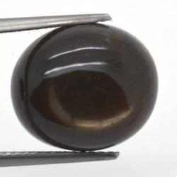 12,91ct.Star Sapphire Cabochon Oval Cut