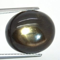 12,91ct.Star Sapphire Cabochon Oval Cut