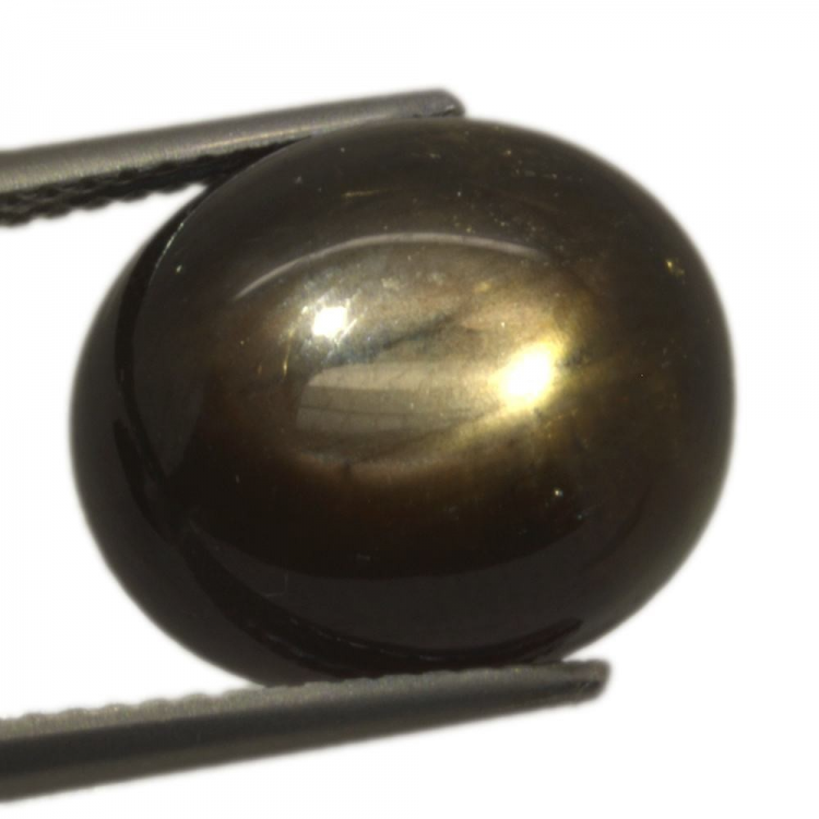 12,91ct.Star Sapphire Cabochon Oval Cut