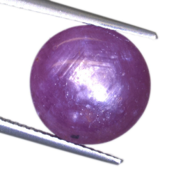 12,87ct.Star Ruby Cabochon Oval Cut