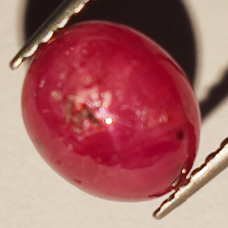 2.44ct Rubis Étoilé cabochon ovale 7.8x6.6mm