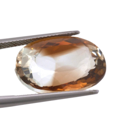 24,69ct Topaz Oval Cut