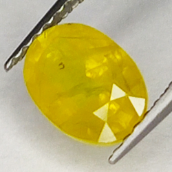 1.54ct Saphir Jaune coupe ovale 7.7x5.6mm