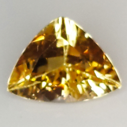 1.64ct Champagne Topaz taglio trillante 9.4x7.1mm