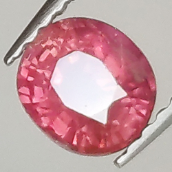 0.95ct Saphir Rose coupe ovale 5.8x5.2mm