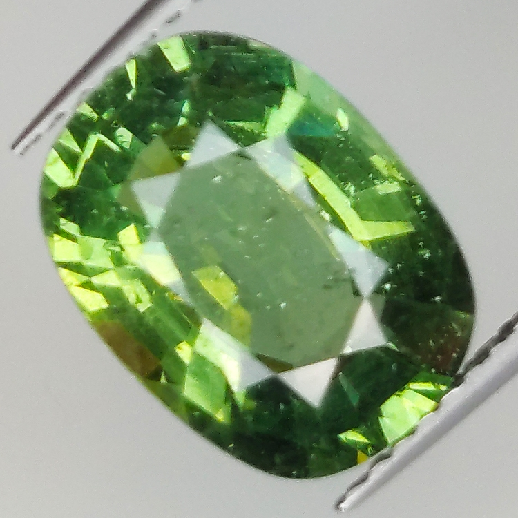 4.49ct Green Apatite cushion cut 11.8x8.8mm