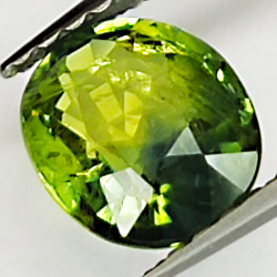 1.24ct Saphir Vert coupe ovale 7.0x5.8mm