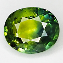 1.24ct Zafiro Verde talla oval 7.0x5.8mm