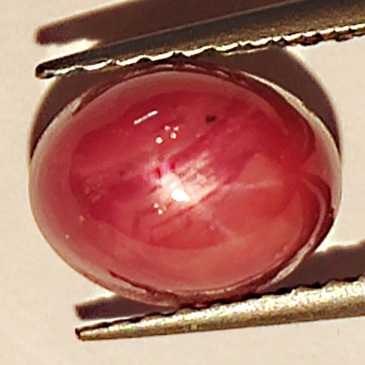 2.97ct Rubis Étoilé cabochon ovale 7.9x6.1mm