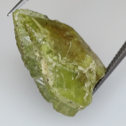 18.17ct Green rough Sphene 21.4x13.0mm