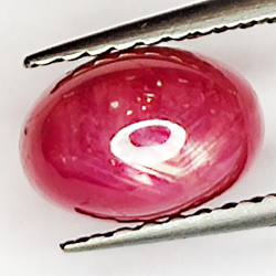 2.64ct Ruby Star cabochon oval 7.6x5.2mm