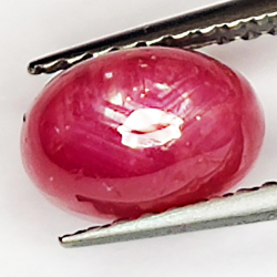 2.64ct Rubis Étoilé cabochon ovale 7.6x5.2mm