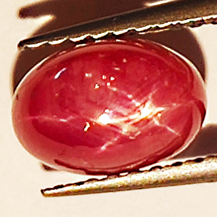 2.64ct Rubin Stern cabochon oval 7.6x5.2mm