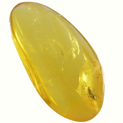 8.21ct Baltic Amber with insect cabochon 33x17mm