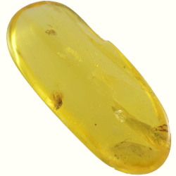 13.64ct Baltic Amber with insect cabochon 38x16mm