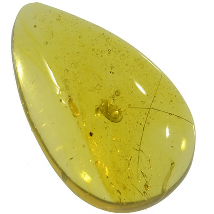 5.58ct Ambra taglio cabochon 20x14mm