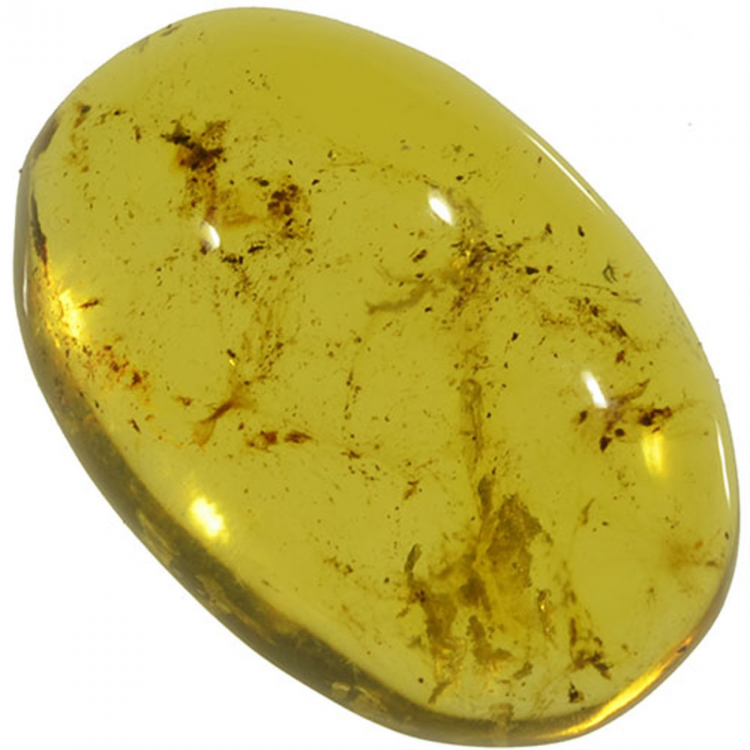 4.74ct Ambra cabochon ovale 18x12mm